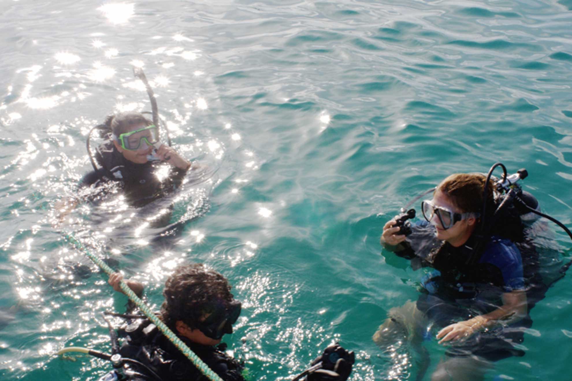 BEGINNER DIVE TOUR 2
