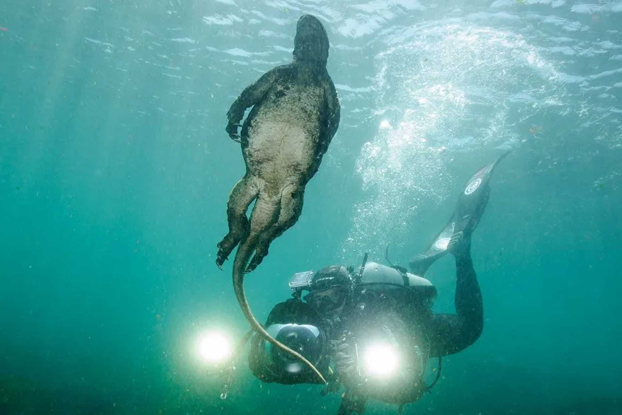 BEGINNER DIVE TOUR 3