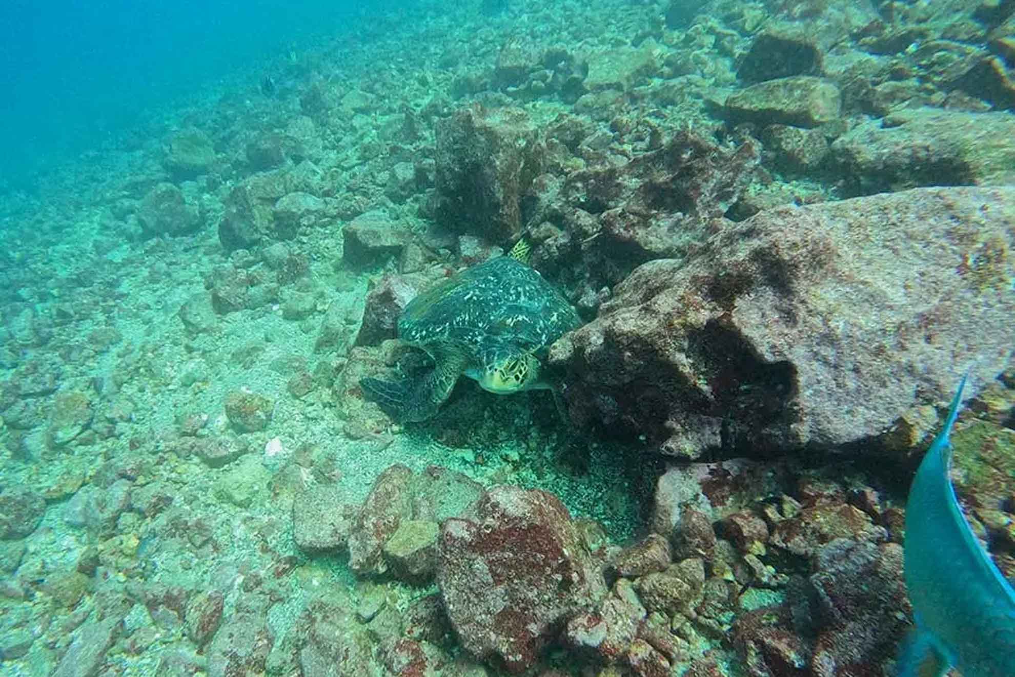 BEGINNER DIVE TOUR 6
