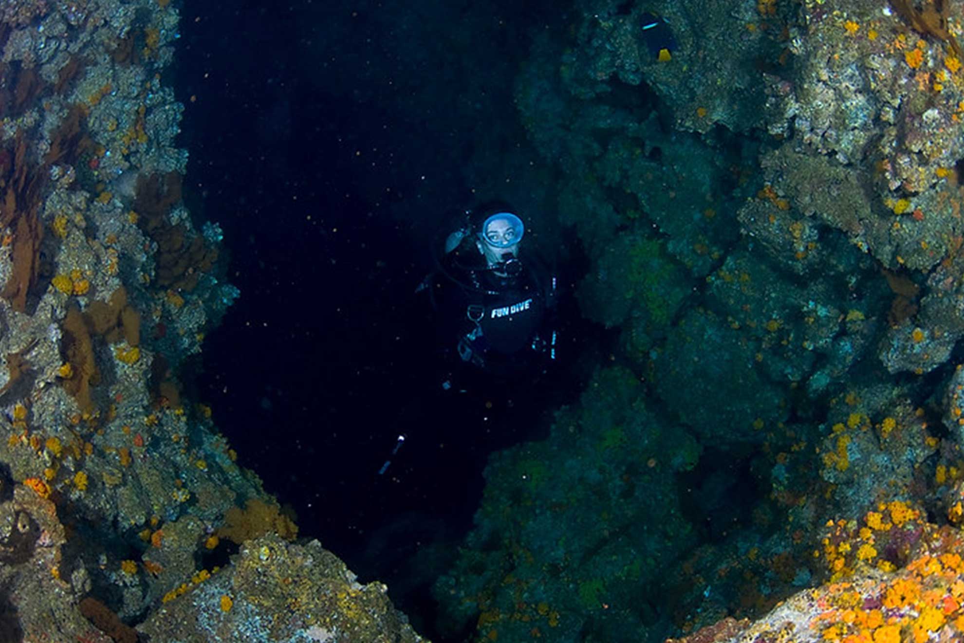 DIVE NIGHT 1